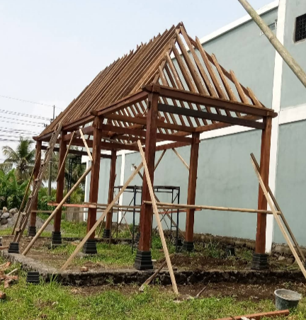 Rayap Kayu Merapi